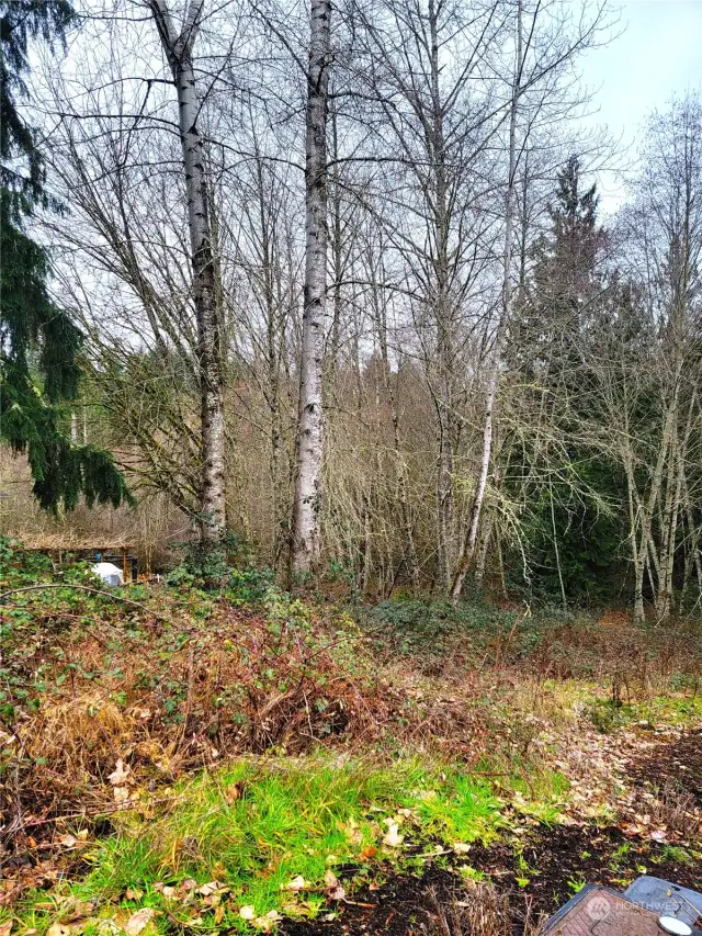A view towards the back of the property.