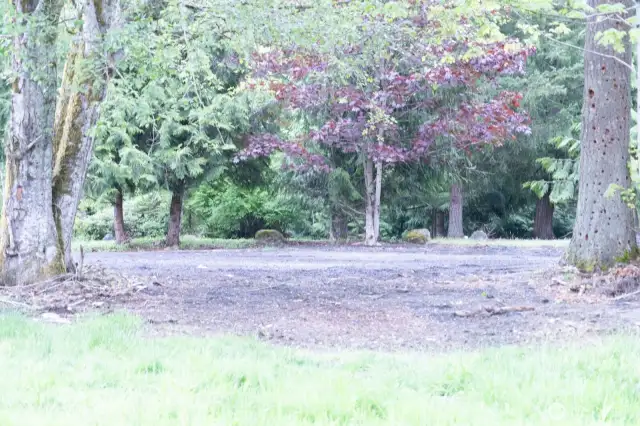wooded area for privacy