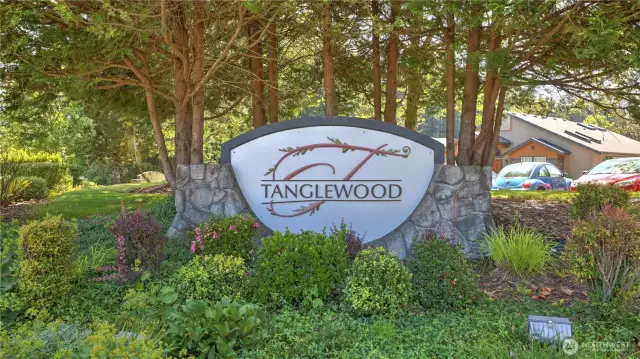Welcome to Tanglewood