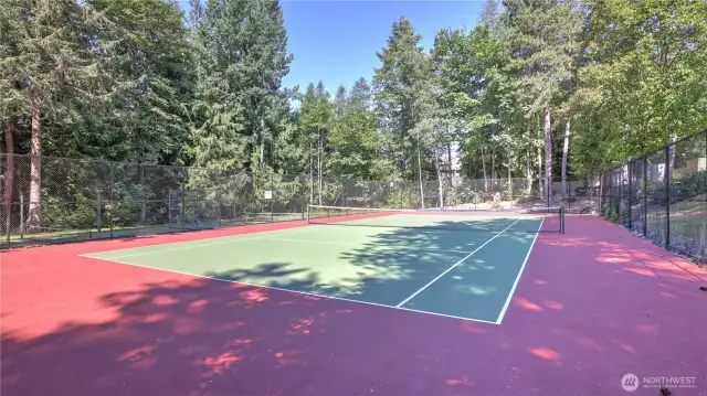 One of the many sports courts that are throughout Klahanie.