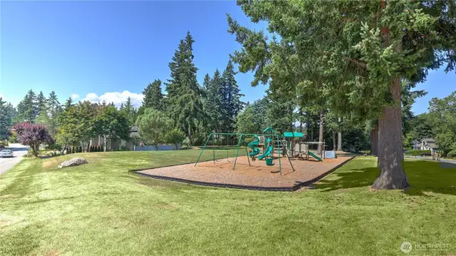 One of the multiple parks with play structures to enjoy.