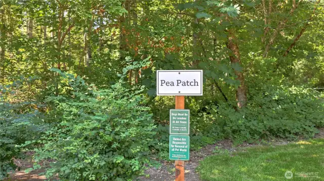 Over 300 Acres of Open Space plus a Pea Patch.