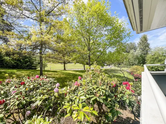 Patio and Greenspace