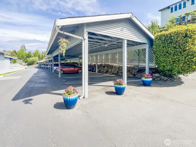 Carport Parking