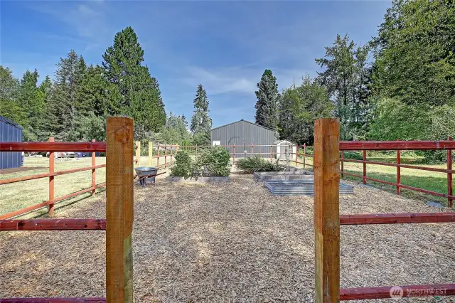 The garden is amazing and comes with blueberries, raspberries and a cherry plum tree!
