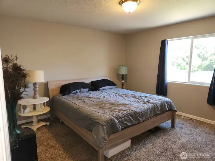 Primary bedroom, plenty of space for this king sized bed.