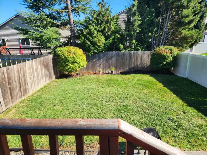 Nicely kept and fully fenced backyard for kids and pets!
