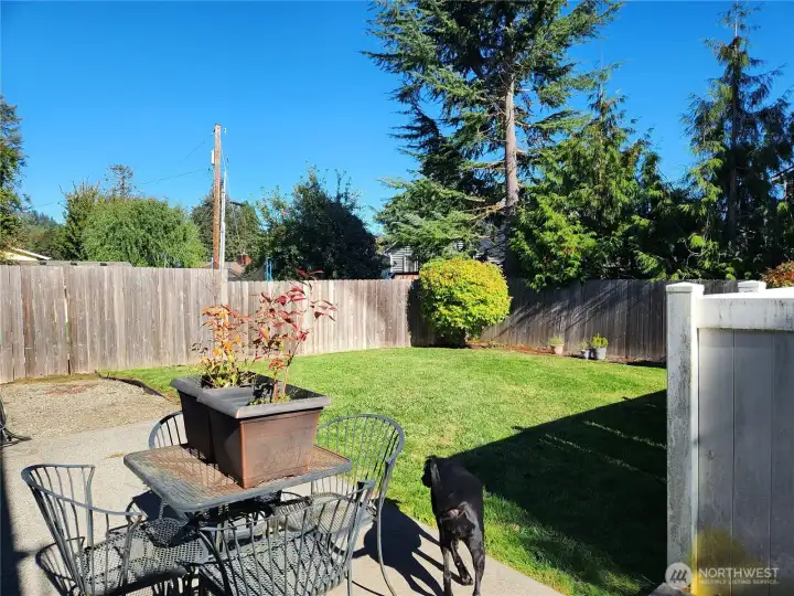 Another view of patio and yard.