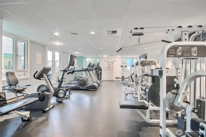 Gym & exercise area