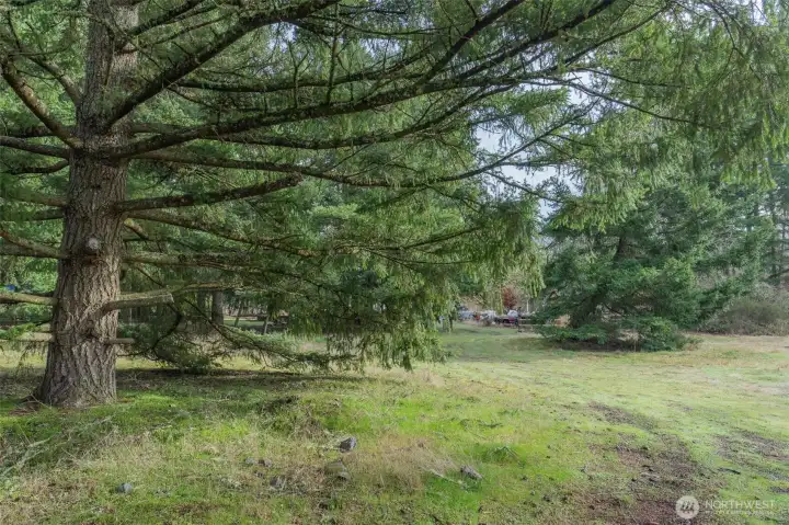 A close up of how private the property is and the many areas it provides.