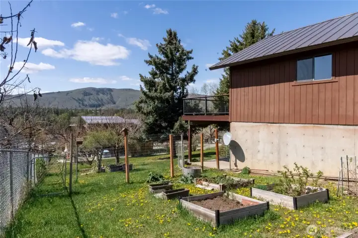 Comes with established apple tree, raspberries, strawberries, and rhubarb.