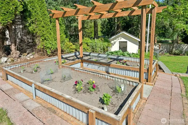 Someone put real intention into these raised garden beds — the pergola trellis, the brick pathway, the outbuilding just beyond. This is a backyard that has been loved and worked and enjoyed for years
