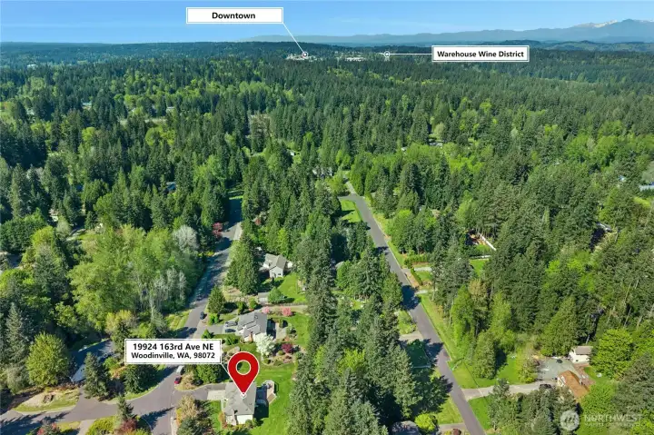 Downtown Woodinville and the Warehouse Wine District are closer than most people realize — this aerial says "peaceful" but the commute says "convenient.