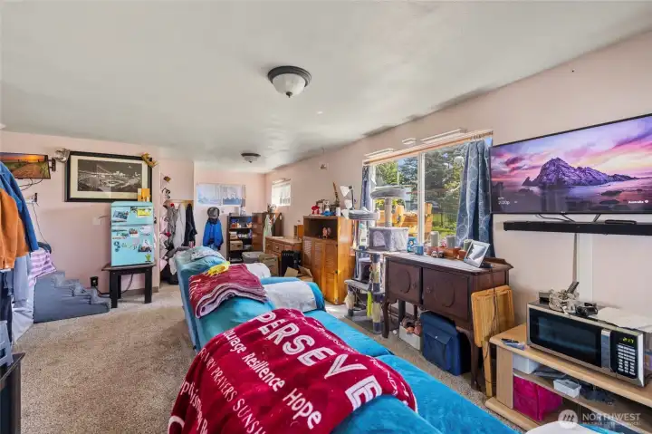 Downstairs apartment space