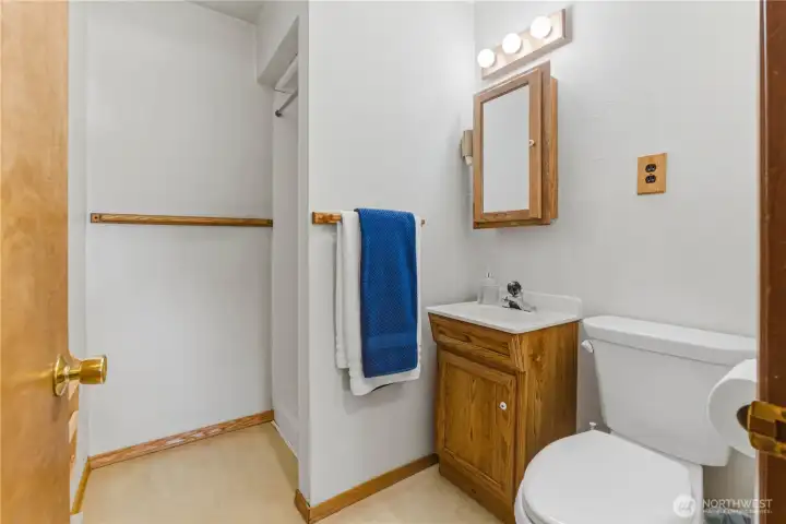 Lower Level Bath
