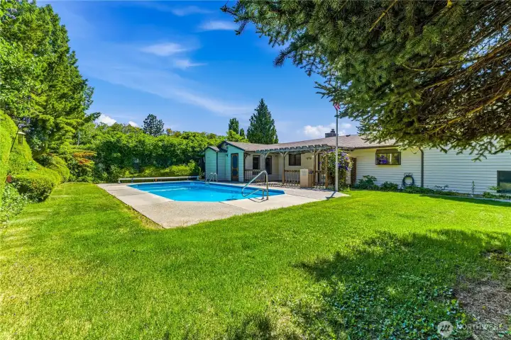 Fenced Back yard