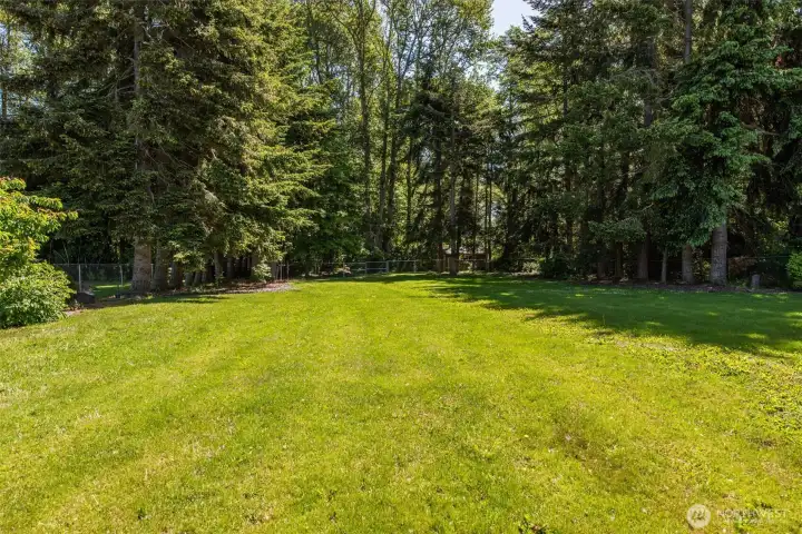 fully fenced backyard