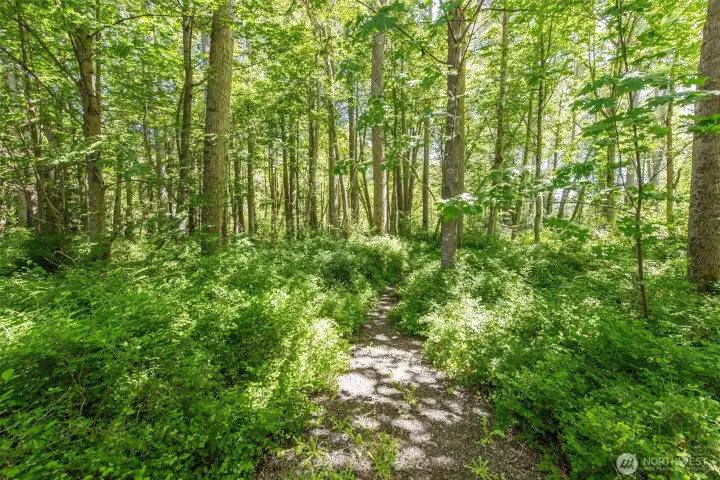 trail to river