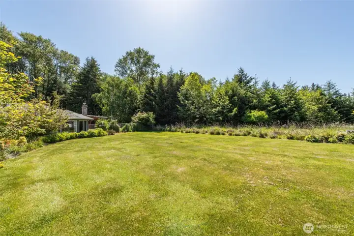 spacious front yard