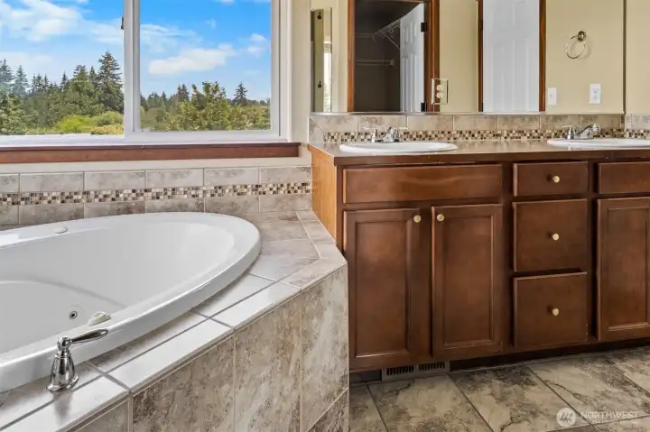 Relax in your jet tub while you also have another view of Mount Rainier