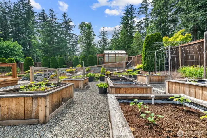 raised garden beds