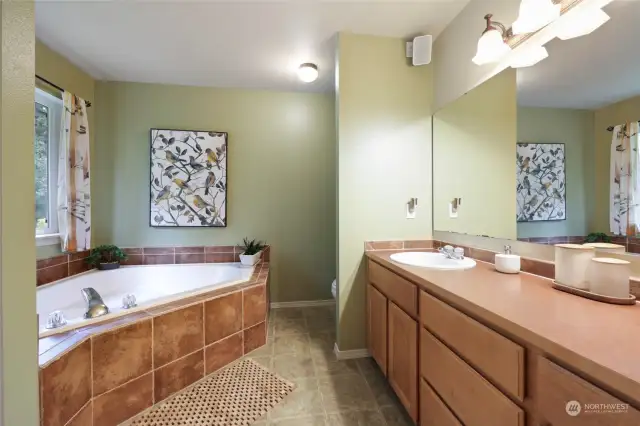 The adjoining primary bath holds up as well. Double sink, relaxing tub.