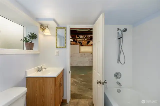 Lower Level Full Bathroom