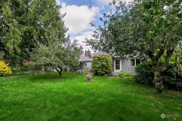 Spacious yard with fruit tree and gardens.