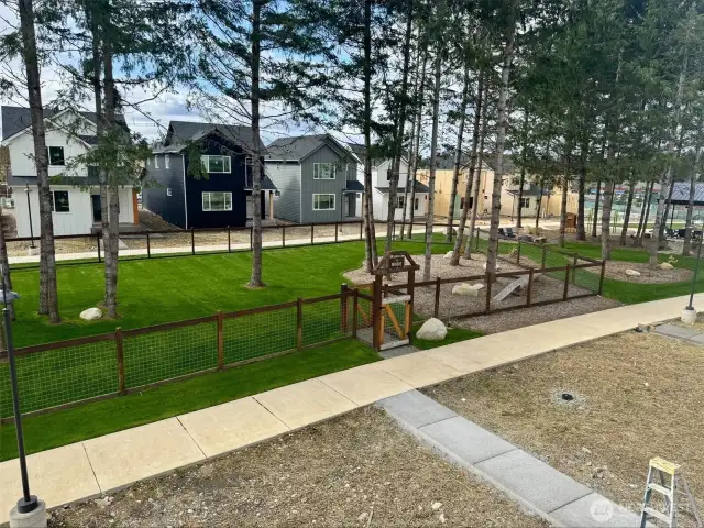 Dog park