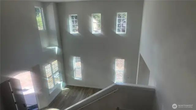 Look at all that light coming through all the windows.  LVP flooring throughout entire main floor, at stairs and upper hallways.