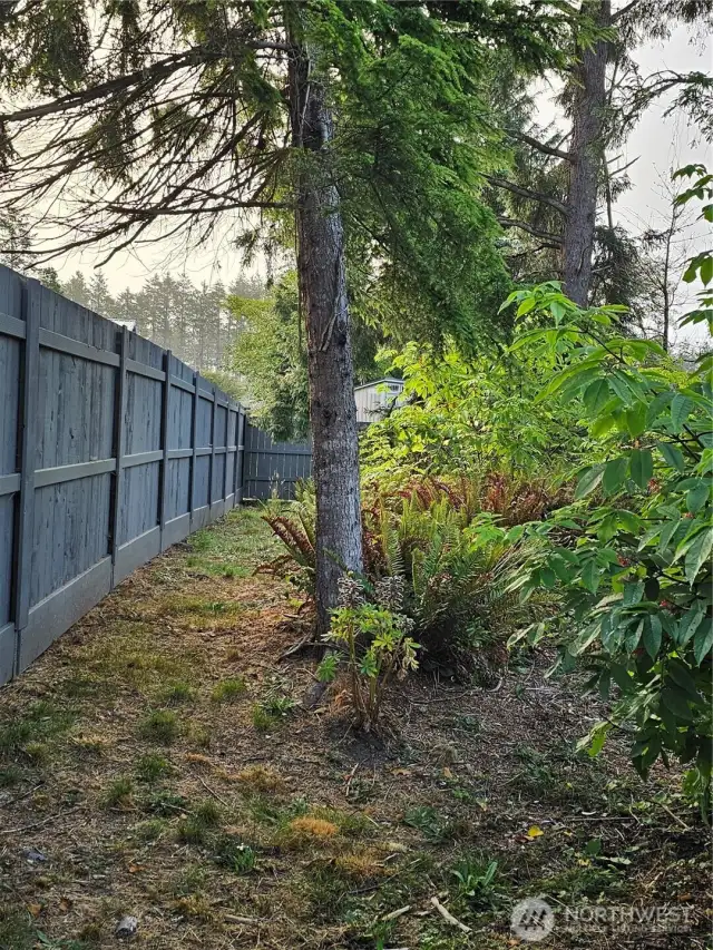 Back of property.