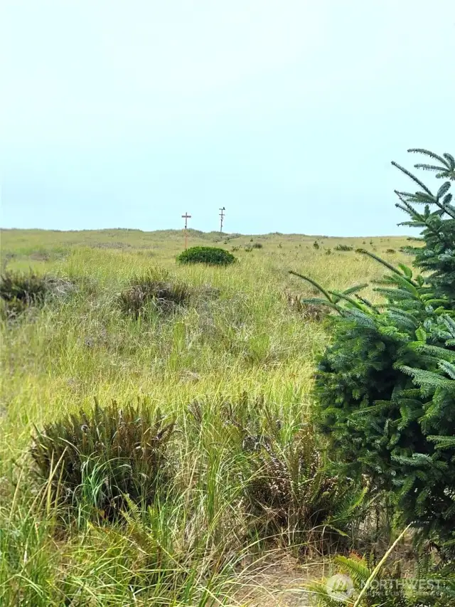 Dunes from Deeded Trailhead....