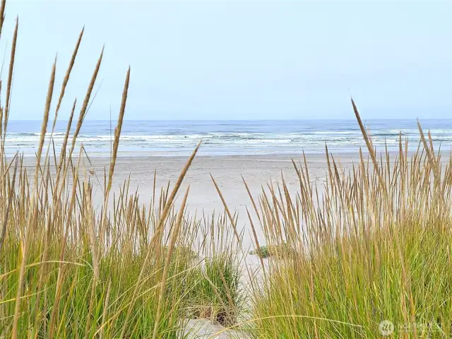 Pacific Ocean splendor....