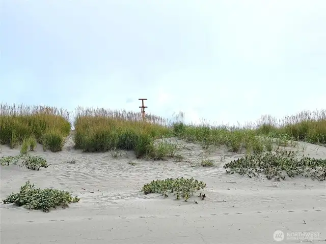 From beach to Trailhead Marker....