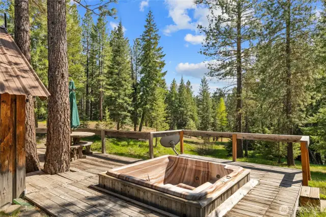 Hot tub stays. It is not operable but would make a nice cool pool for summer!