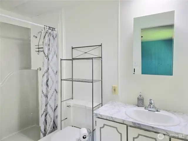 walk in shower in primary.