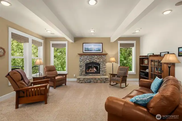Cozy Xtrodinaire wood stove fireplace in the family room.