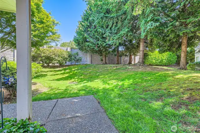 Big Grassy area behind condo for your pets to play!
