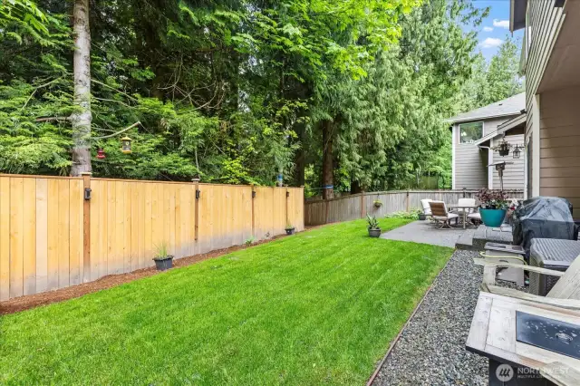 Trees provide a lush backdrop in the backyard.