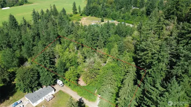 Red Lines are estimate property lines.