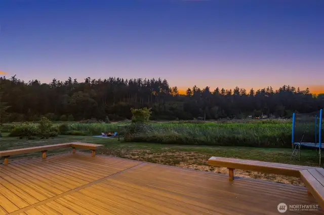 Watch eagles, herons, and a veriety of bird species from your own backyard