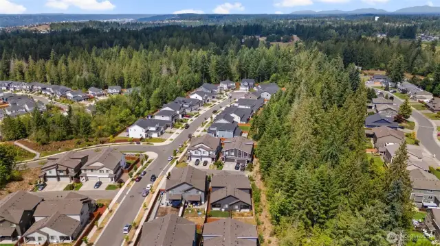 Aerial Street View