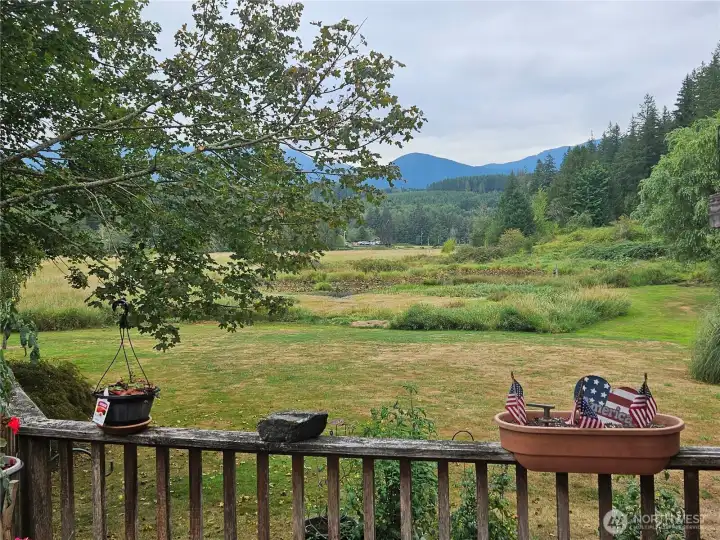 From Deck looking out to the pond