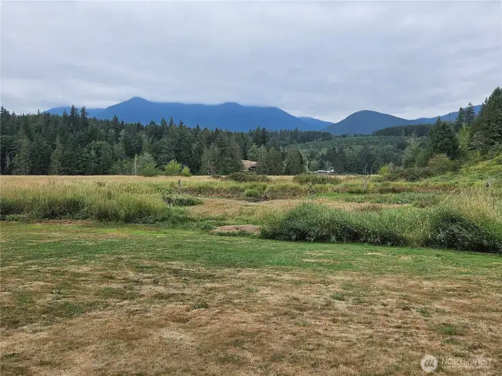 Olympic Mountain View