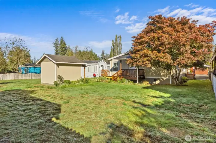 back yard