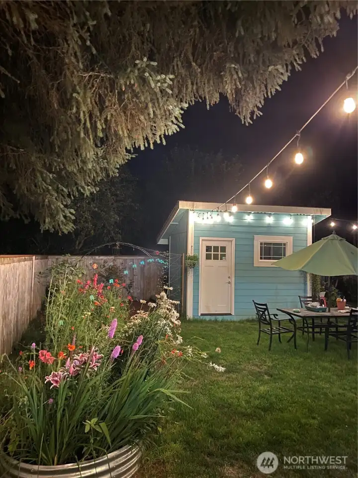 Nighttime in the backyard.