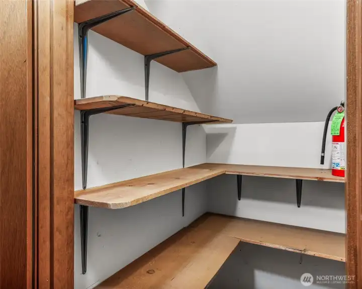 Under the stairs walk-in closet