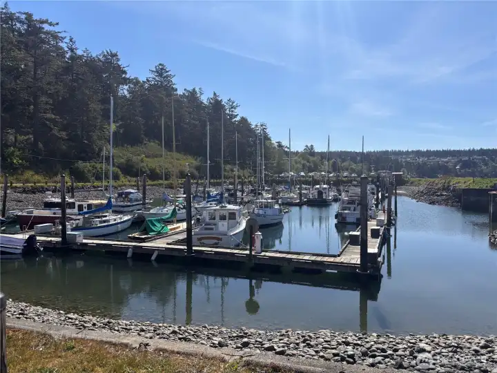 Cape George Marina