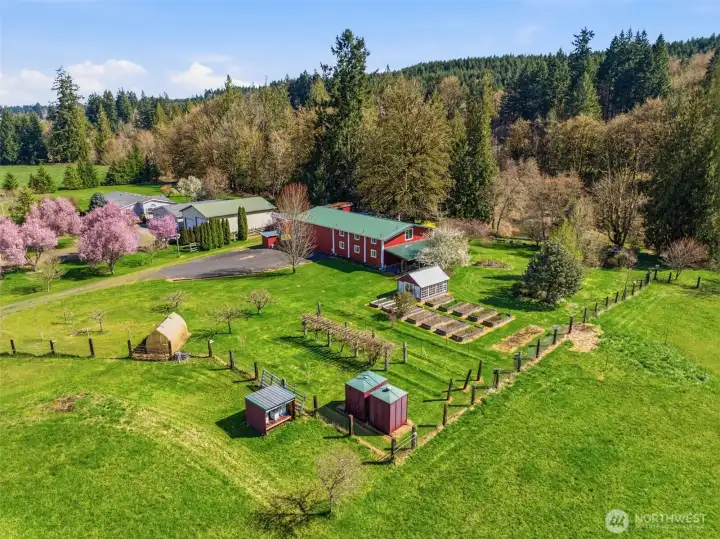 Drone View of gorgeous grounds!