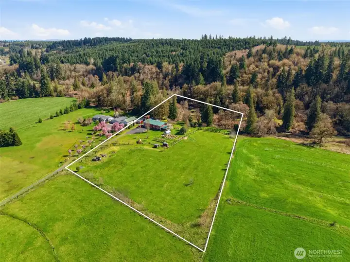 Aerial shot with approximate boundary lines.